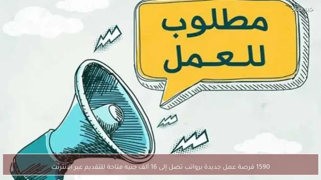 1590 فرصة عمل جديدة برواتب تصل إلى 16 ألف جنيه متاحة للتقديم عبر الإنترنت