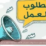 1590 فرصة عمل جديدة برواتب تصل إلى 16 ألف جنيه متاحة للتقديم عبر الإنترنت
