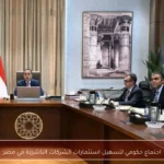 اجتماع حكومي لتسهيل استثمارات الشركات الناشئة في مصر