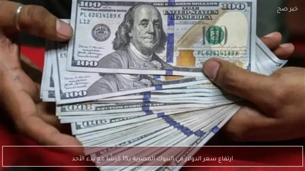 ارتفاع سعر الدولار في البنوك المصرية بـ15 قرشًا مع بدء الأحد