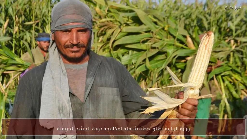 وزارة الزراعة تطلق خطة شاملة لمكافحة دودة الحشد الخريفية
