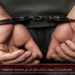 حكم بالسجن 7 سنوات لشاب قتل آخر في مشاجرة بالمنوفية