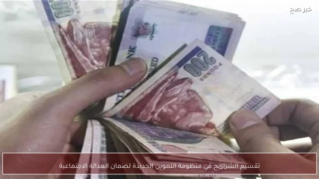 تقسيم الشرائح في منظومة التموين الجديدة لضمان العدالة الاجتماعية