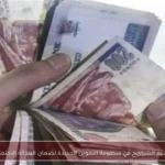 تقسيم الشرائح في منظومة التموين الجديدة لضمان العدالة الاجتماعية