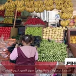 أسعار الخضراوات والفاكهة في سوق العبور اليوم الثلاثاء