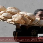 تغييرات جديدة في منظومة التموين تشمل استبدال الخبز بالفراخ