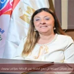 مصر تعرض تجربتها في دمج قضايا ذوي الإعاقة بمؤتمر نيويورك