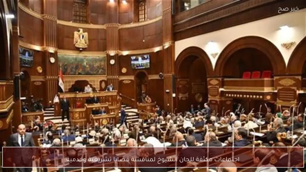 اجتماعات مكثفة للجان الشيوخ لمناقشة قضايا تشريعية وخدمية