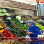 استقرار أسعار الخضار والفاكهة في أسواق مطروح اليوم