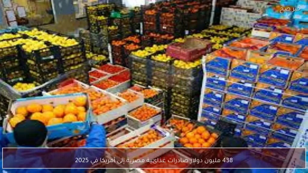 438 مليون دولار صادرات غذائية مصرية إلى أمريكا في 2025