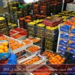 438 مليون دولار صادرات غذائية مصرية إلى أمريكا في 2025