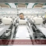 دعوة لتبني النموذج الآسيوي في التصنيع المصري
