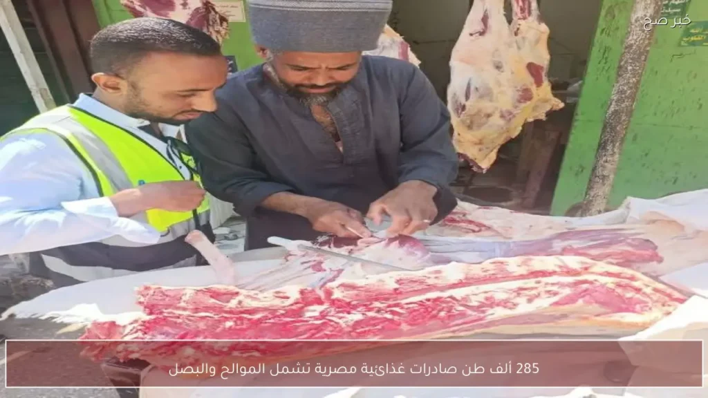 285 ألف طن صادرات غذائية مصرية تشمل الموالح والبصل