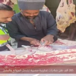 285 ألف طن صادرات غذائية مصرية تشمل الموالح والبصل