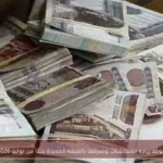 موعد زيادة المعاشات وصرفها بالقيمة الجديدة بدءًا من يوليو 2026