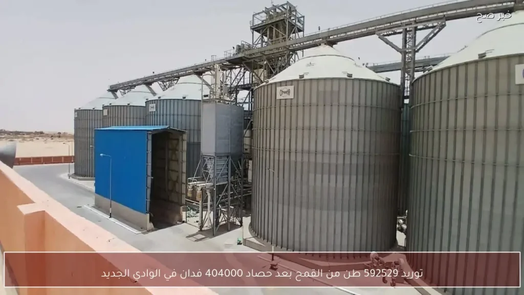 توريد 592529 طن من القمح بعد حصاد 404000 فدان في الوادي الجديد