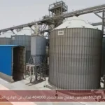 توريد 592529 طن من القمح بعد حصاد 404000 فدان في الوادي الجديد