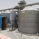 توريد 592529 طن من القمح بعد حصاد 404000 فدان في الوادي الجديد