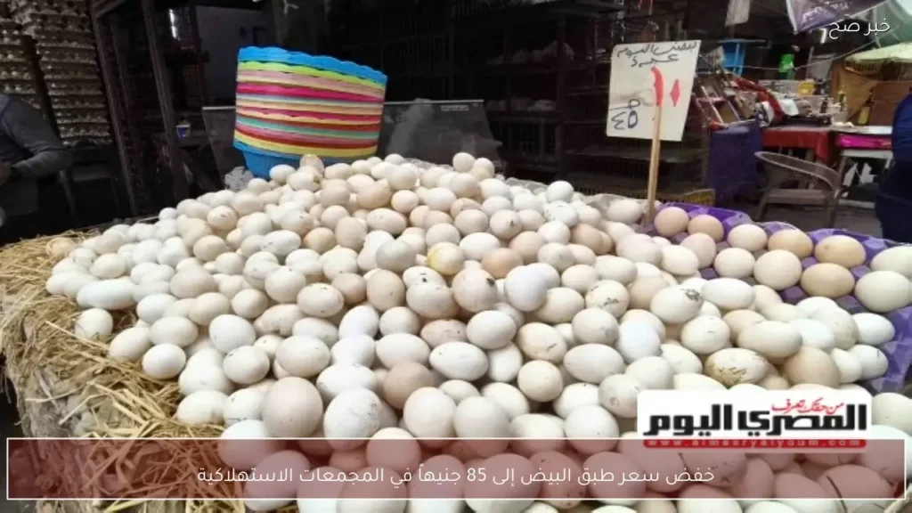 خفض سعر طبق البيض إلى 85 جنيهاً في المجمعات الاستهلاكية