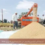 أسعار الأرز الشعير والأبيض في الشرقية اليوم 10 يونيو 2026