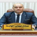 تحرير 12 مخالفة خلال حملات تفتيشية على المخابز في مطروح