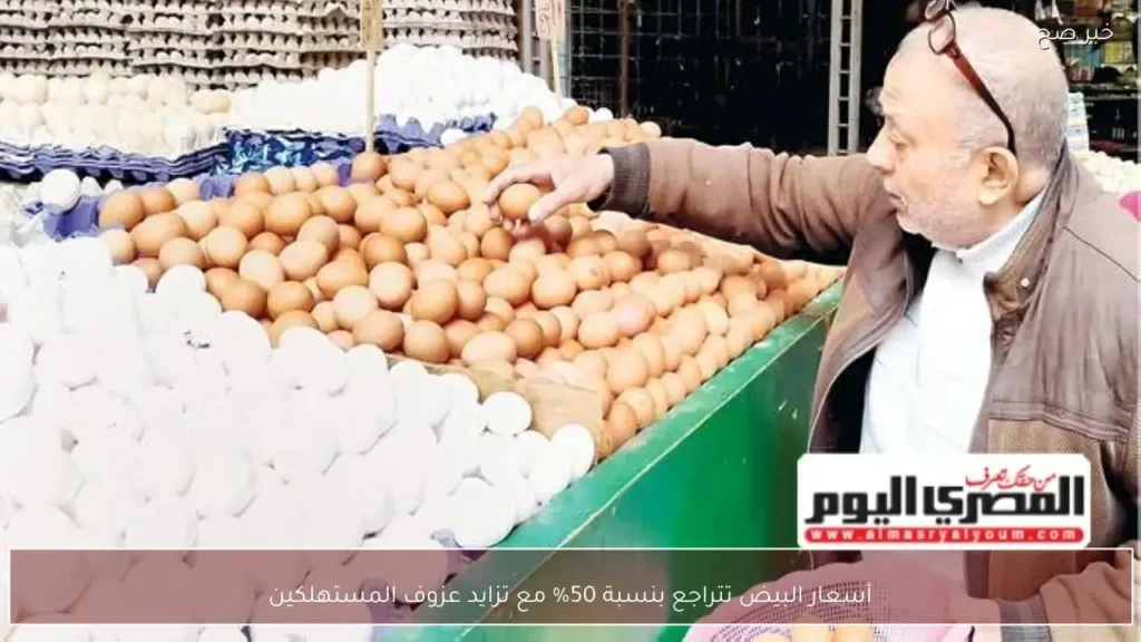 أسعار البيض تتراجع بنسبة 50% مع تزايد عزوف المستهلكين