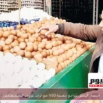 أسعار البيض تتراجع بنسبة 50% مع تزايد عزوف المستهلكين