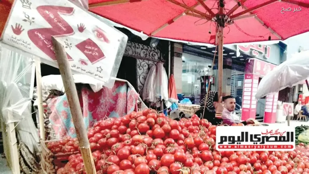 انخفاض أسعار الطماطم والبطاطس في الأسواق المصرية اليوم