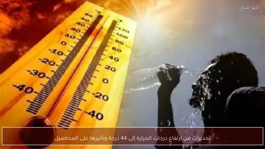 تحذيرات من ارتفاع درجات الحرارة إلى 44 درجة وتأثيرها على المحاصيل