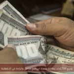 توزيع 106 آلاف بطاقة جديدة لبرنامج تكافل وكرامة في الدقهلية