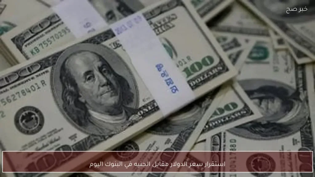 استقرار سعر الدولار مقابل الجنيه في البنوك اليوم