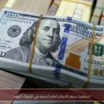 استقرار سعر الدولار أمام الجنيه في البنوك اليوم