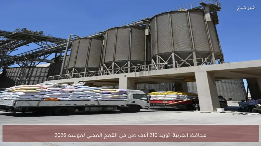 محافظ الغربية: توريد 210 آلاف طن من القمح المحلي لموسم 2026
