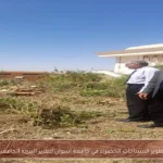 تطوير المساحات الخضراء في جامعة أسوان لتعزيز البيئة الجامعية