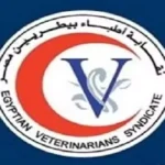 نقابة الأطباء البيطريين تعقد جلسة طارئة لمناقشة «سنة الامتياز»