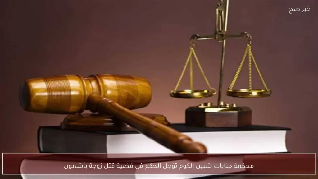 محكمة جنايات شبين الكوم تؤجل الحكم في قضية قتل زوجة بأشمون