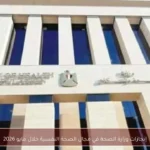 إنجازات وزارة الصحة في مجال الصحة النفسية خلال مايو 2026