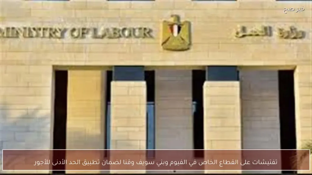 تفتيشات على القطاع الخاص في الفيوم وبني سويف وقنا لضمان تطبيق الحد الأدنى للأجور