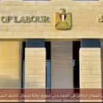 تفتيشات على القطاع الخاص في الفيوم وبني سويف وقنا لضمان تطبيق الحد الأدنى للأجور