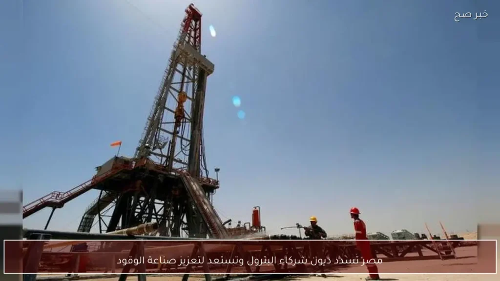 مصر تسدد ديون شركاء البترول وتستعد لتعزيز صناعة الوقود