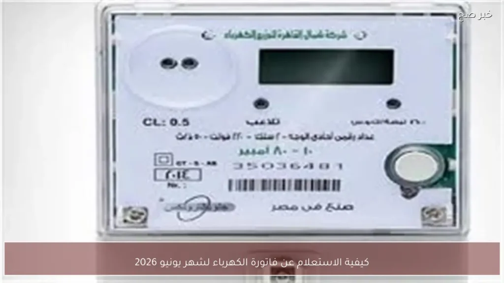 كيفية الاستعلام عن فاتورة الكهرباء لشهر يونيو 2026