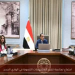 اجتماع لمتابعة تنفيذ المشروعات التنموية في الوادي الجديد
