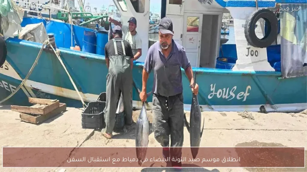 انطلاق موسم صيد التونة البيضاء في دمياط مع استقبال السفن