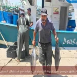 انطلاق موسم صيد التونة البيضاء في دمياط مع استقبال السفن