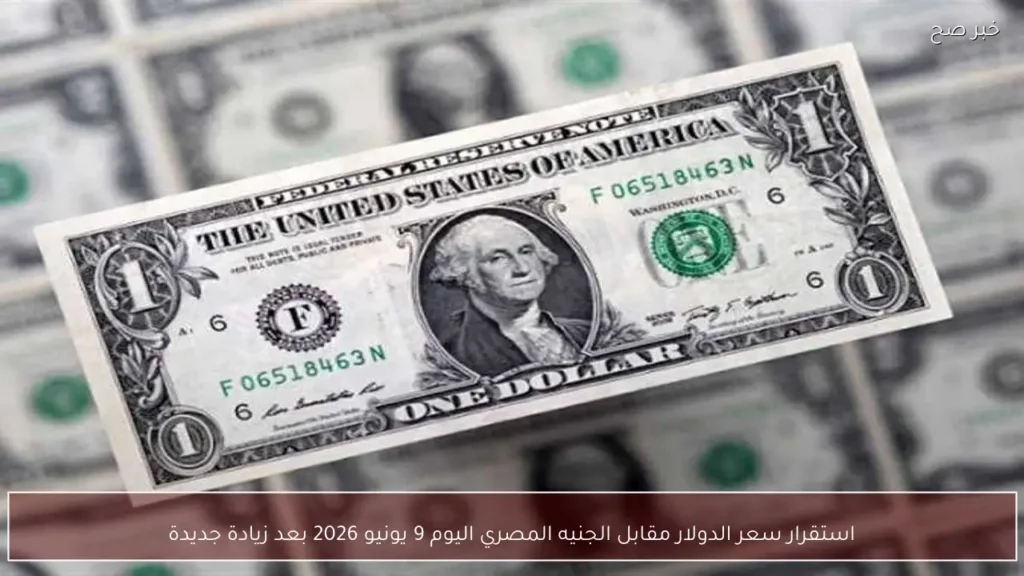 استقرار سعر الدولار مقابل الجنيه المصري اليوم 9 يونيو 2026 بعد زيادة جديدة