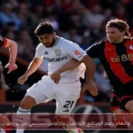 توتنهام يضم المدافع الأرجنتيني ماركوس سينسي من بورنموث
