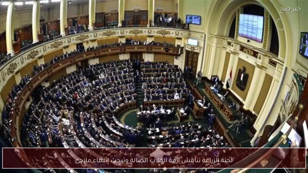 لجنة الزراعة تناقش أزمة الكلاب الضالة وتبحث إنشاء ملاجئ