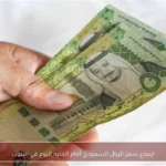 ارتفاع سعر الريال السعودي أمام الجنيه اليوم في البنوك