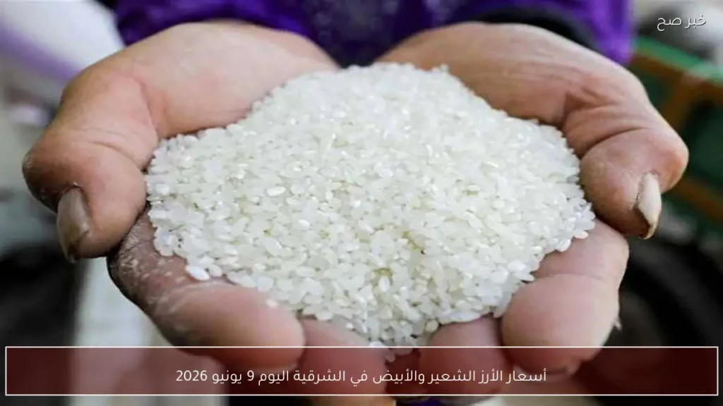 أسعار الأرز الشعير والأبيض في الشرقية اليوم 9 يونيو 2026