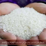 أسعار الأرز الشعير والأبيض في الشرقية اليوم 9 يونيو 2026
